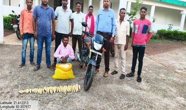 बांस करील के अवैध परिवहन पर कार्रवाई आरोपी गिरफ्तार