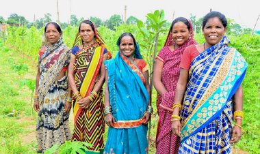 कमार दीदियों की ज़िंदगी में बिहान से जुड़कर आई खुशहाली