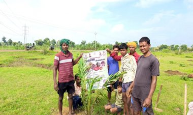 रायपुर : बलौदाबाजार जिले के किसान ऑयल पाम की खेती की ओर अग्रसर