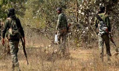 गरियाबंद में मुठभेड़: 10 नक्सली ढेर, कमांडर भी मारा गया...