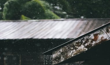 प्रदेश में अब तक 1030.9 मि.मी. औसत वर्षा दर्ज