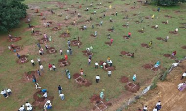 फलदार वृक्षों से बदली जिंदगी : सुरेश चन्द्र बने गांव के लिए प्रेरणा स्रोत