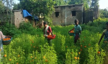 गेंदा फूल की खुशबू से महक रहा महिलाओं का जीवन