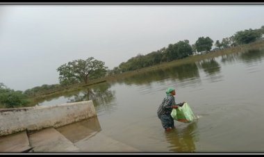 अमृत सरोवर से मिल रही आर्थिक उन्नति