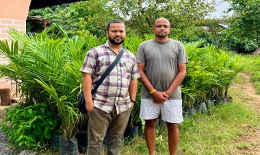 रायपुर : विशेष लेख :मिलाराबाद के किसान अंतर्यामी ऑर्गेनिक खेती अपनाकर समाज में मिसाल पेश की