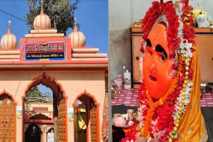 धमतरी की बिलाई माता: बिल्लियों से जुड़ी है स्थापना की कथा...