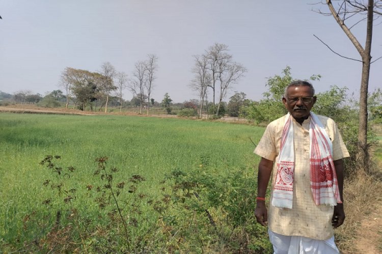 रायपुर : कम लागत से गेहूं की फसल में किसानों को मिलेगा ज्यादा मुनाफा