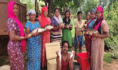 रायपुर : मछली पालन आय का उत्तम साधन