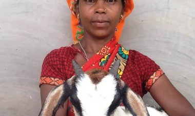 रायपुर : महतारी वंदन योजना से महिलाएं हो रहीं आत्मनिर्भर