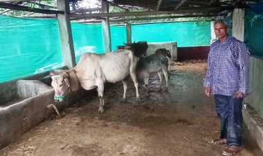 रायपुर : मनरेगा से बदली किस्मत : साय सरकार की योजनाओं से रामफल बने आत्मनिर्भर किसान