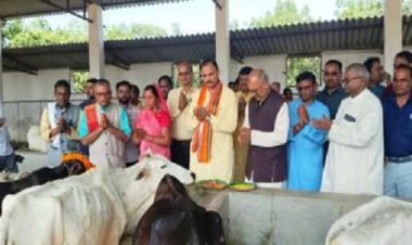 गोवर्धन पूजा हमारी संस्कृति का आधार, गोवंश संरक्षण से ही सशक्त होगा ग्रामीण भारत : स्वास्थ मंत्री