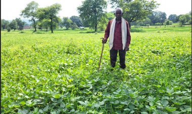 रायपुर : साधारण किसान से प्रगतिशील किसान की ओर बढ़ रहे महावीर पुषाम