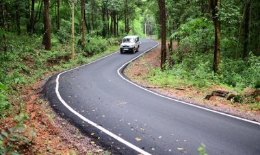 रायपुर : बस्तर की सुदूर बसाहटें अब मुख्यधारा से जुड़ीं, पीएमजीएसवाई ने बदली तस्वीर