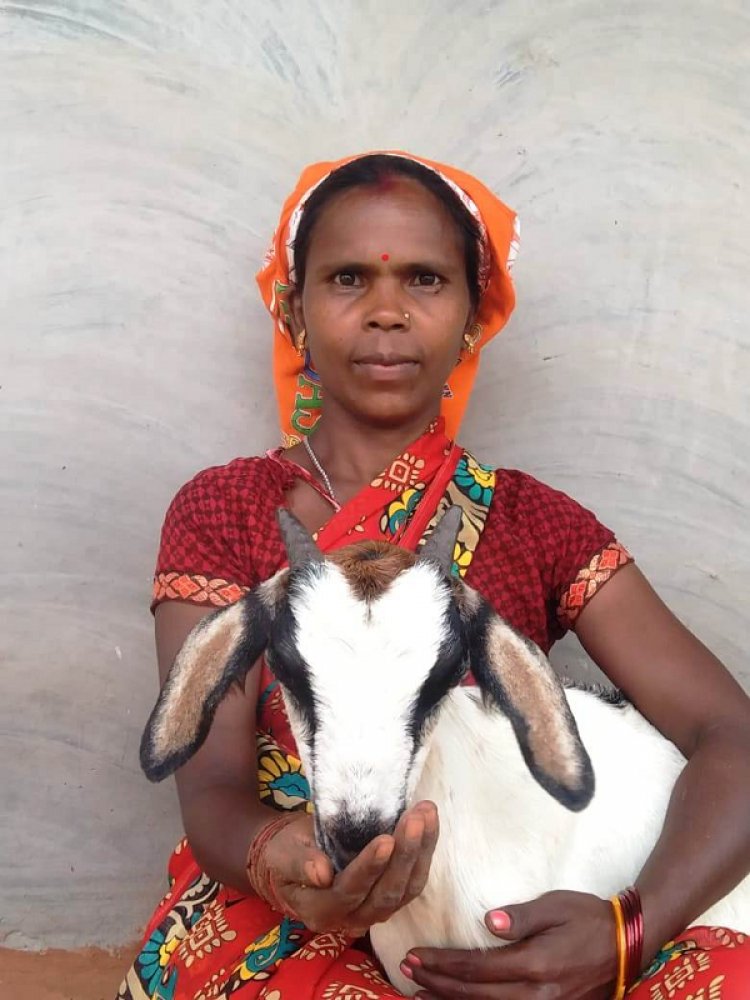 रायपुर : महतारी वंदन योजना से महिलाएं हो रहीं आत्मनिर्भर