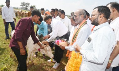 रायपुर : भागूटोला में घुमंतू पशुओं की सेवा, सुरक्षा और संरक्षण की मिसाल