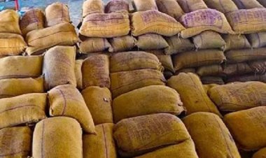 जिले में धान खरीदी की निगरानी हेतु इंटीग्रेटेड कमांड एवं कंट्रोल सेंटर गठित