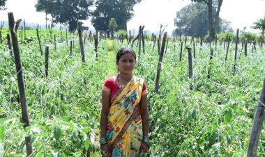 रायपुर : बिहान योजना से आत्मनिर्भरता की मिसाल बनीं शकुन्तला शार्दुल : सुक्ष्म सिंचाई के साधन का उपयोग कर आय बढ़ा रही है