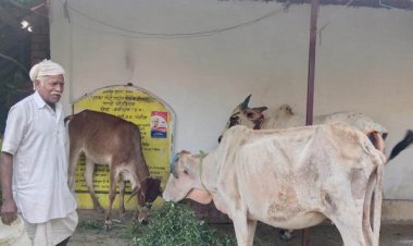 रायपुर : महात्मा गांधी नरेगा ने बदली बुलबुल की किस्मत - छोटे किसान से सफल ऑर्गेनिक बाड़ी उत्पादक बनने तक की कहानी