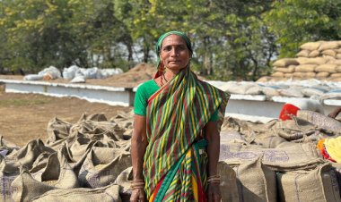 रायपुर : धान खरीदी व्यवस्था में सुशासन की झलक