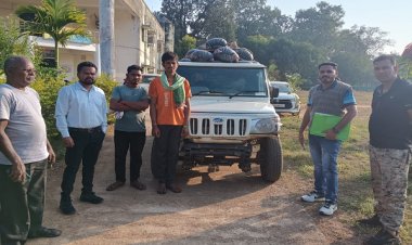 रायपुर : धान के अवैध परिवहन पर बड़ी कार्रवाई