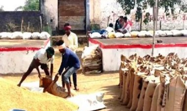 धान खरीदी केन्द्रों के लिए कम्प्यूटर ऑपरेटरों की नियुक्ति