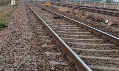 आजाद हिंद एक्सप्रेस की चपेट में 16 बकरे-बकरियों समेत वृद्धा की मौत