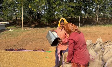 रायपुर : खरीफ उपार्जन शुरू होते ही धमतरी में लौटी रौनक
