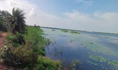 रायपुर : कोपरा जलाशय को मिलेगा रामसर स्थल का दर्जा