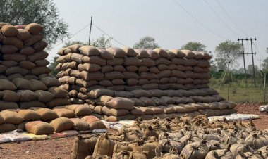 रायपुर : 17 व्यापारियों से 13 लाख रूपए का 622 क्विंटल पुराना धान जब्त