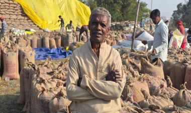 रायपुर : धान खरीदी व्यवस्था से किसानों का बढ़ा भरोसा