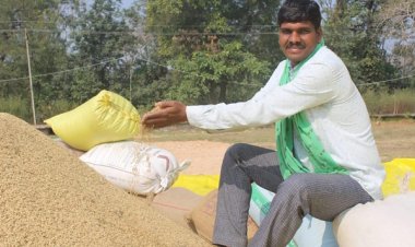 रायपुर : खेती से कमाई, अब आधुनिकता की ओर बढ़ते कदम