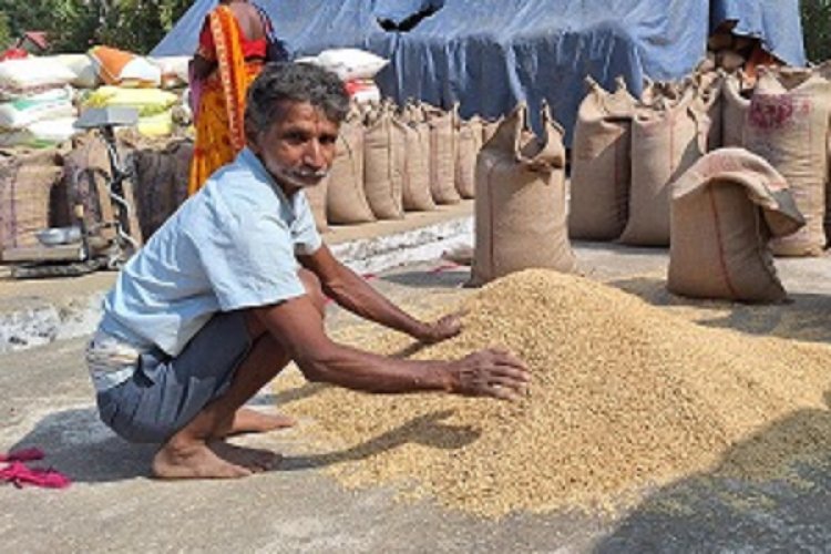 छोटे किसान को बड़ी राहत-21 क्विंटल धान खरीदी नीति से बदली गोटीलाल की किस्मत