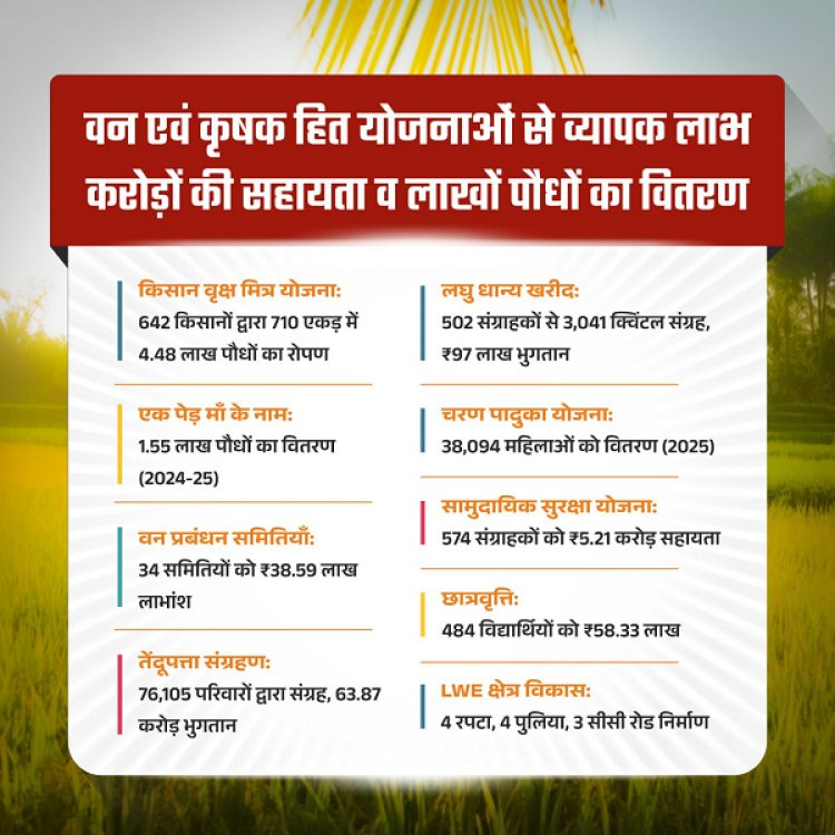 रायपुर : हरियाली से आर्थिक रूप से सशक्त हुए मोहला जिले के ग्रामीण