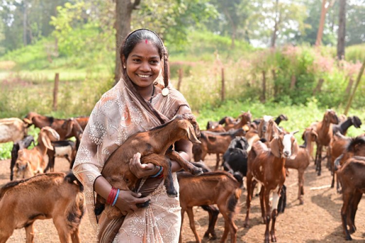 रायपुर : बिहान से गनेशी बाई आत्मनिर्भरता की राह पर