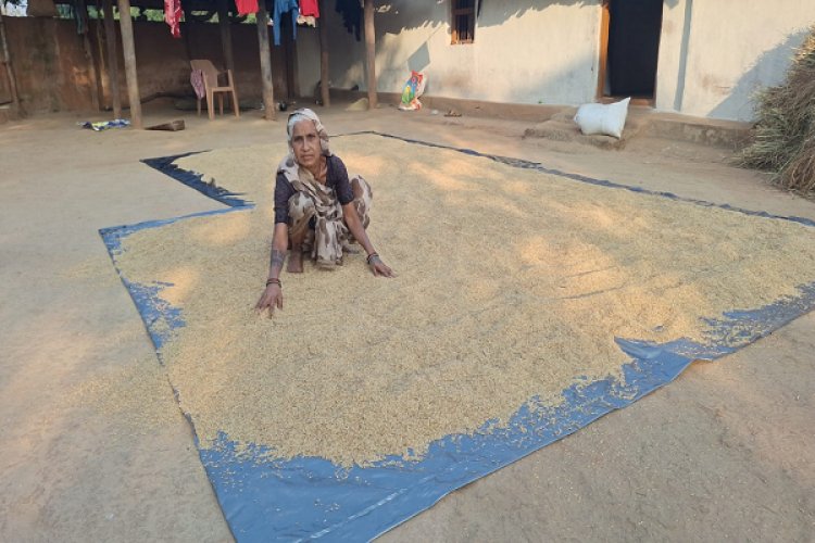 रायुपर : मेहनत की फसल पर उम्मीद का मिल रहा है पूरा दाम