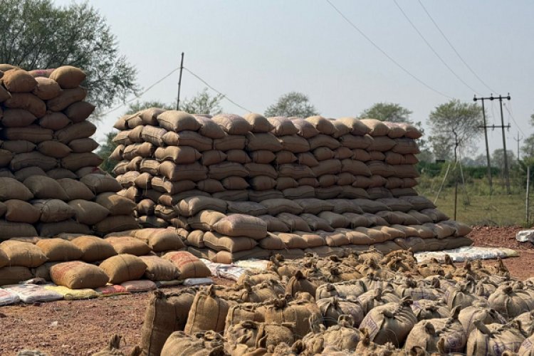 रायपुर : 17 व्यापारियों से 13 लाख रूपए का 622 क्विंटल पुराना धान जब्त