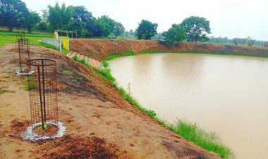 अमृत सरोवर - जल संरक्षण का नया अध्याय, ग्रामीण विकास का उज्ज्वल भविष्य