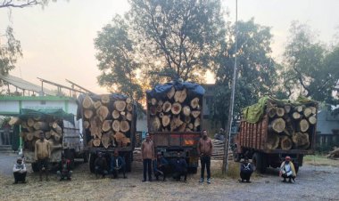 रायपुर : प्रतिबंधित काष्ठों का अवैध परिवहन पकड़ा गया, वन विभाग ने की जप्ती