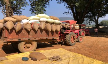 रायपुर : उपार्जन केंद्रों में धान खरीदी सुचारू रूप से जारी