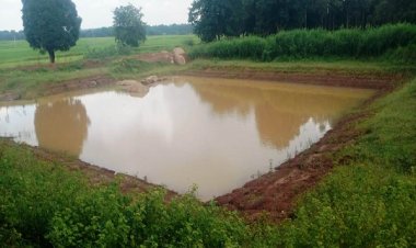 रायपुर : डबरी निर्माण से ग्रामीण आजीविका को मिल रही नई दिशा