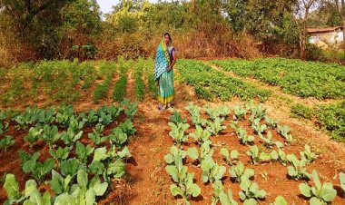 रायपुर : राष्ट्रीय ग्रामीण आजीविका मिशन ‘बिहान’ से बदली तकदीर, आत्मनिर्भरता की बनी मिसाल