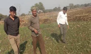 रायपुर : धान से हटकर समृद्धि की राह: जेवरा के किसान दिलीप सिन्हा ने दलहन-तिलहन से कमाए 25 लाख रुपये