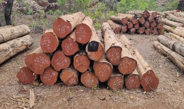 ई-नीलाम: पारदर्शिता और राजस्व वृद्धि की दिशा में एक सकारात्मक पहल