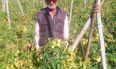 तकनीक सहयोग और मेहनत से बदली खेती की तस्वीर