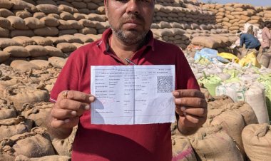 24×7 ऑनलाइन व्यवस्था से धान खरीदी को मिली रफ्तार, किसानों को मिला 3100 रुपये समर्थन मूल्य