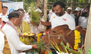 बस्तर संभाग में महिलाएं डेयरी व्यवसाय से बन रही हैं आत्मनिर्भर