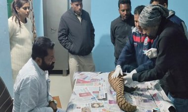 वन विभाग को बड़ी सफलता, अंतर्राज्यीय पेंगोलिन तस्कर गिरोह पकड़ा गया : एक जीवित पेंगोलिन बरामद