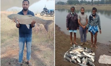 शासन की योजनाओं ने बदली तकदीर : मछली पालन बना स्थायी आय का जरिया