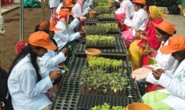 उद्यानिकी प्रशिक्षण से सशक्त होंगे किसान और युवा