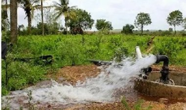 निःशुल्क बिजली से बदली खेती की तस्वीर